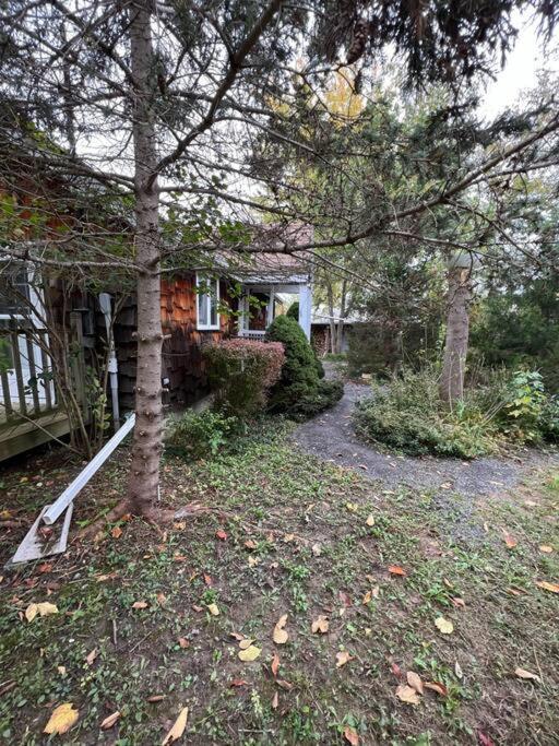 Country Cottage Penn Yan Esterno foto